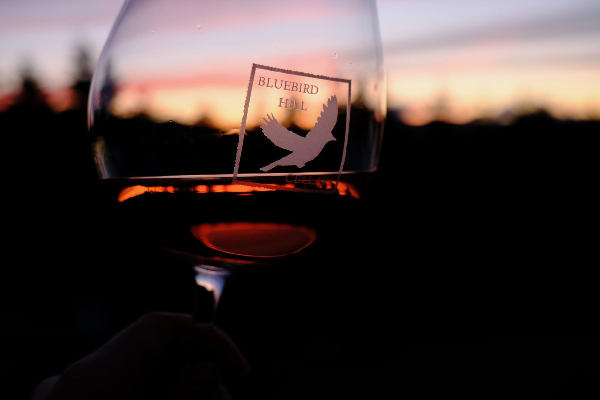 Sunset at Bluebird Hill Cellars